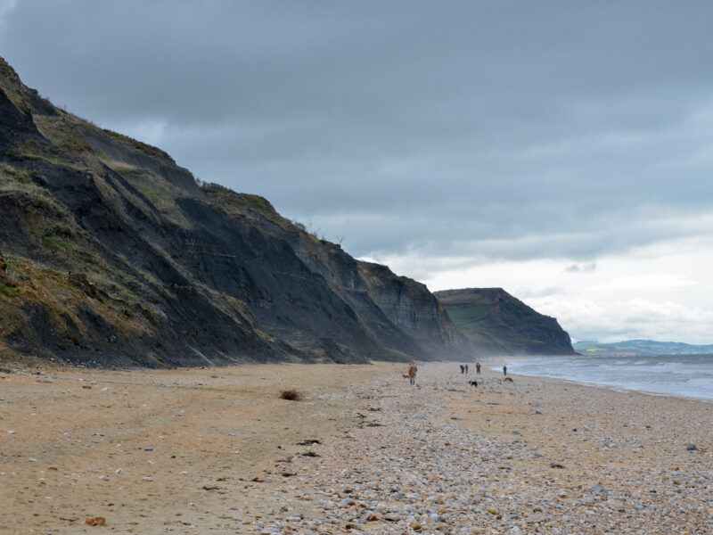 Charmouth