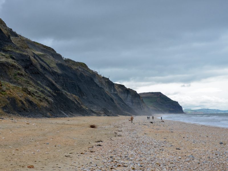 Charmouth