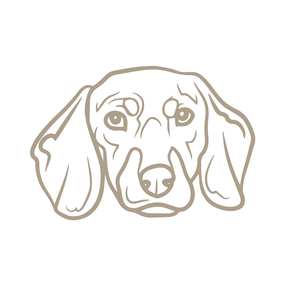 Dogs