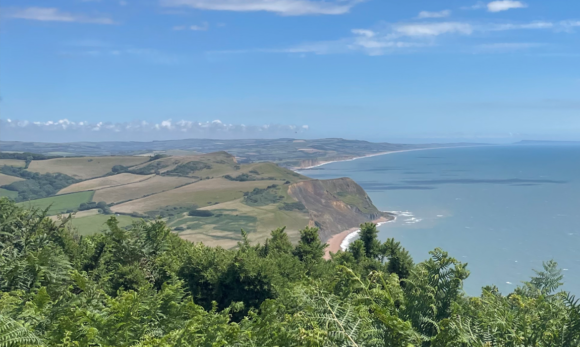 Golden Cap Looking East