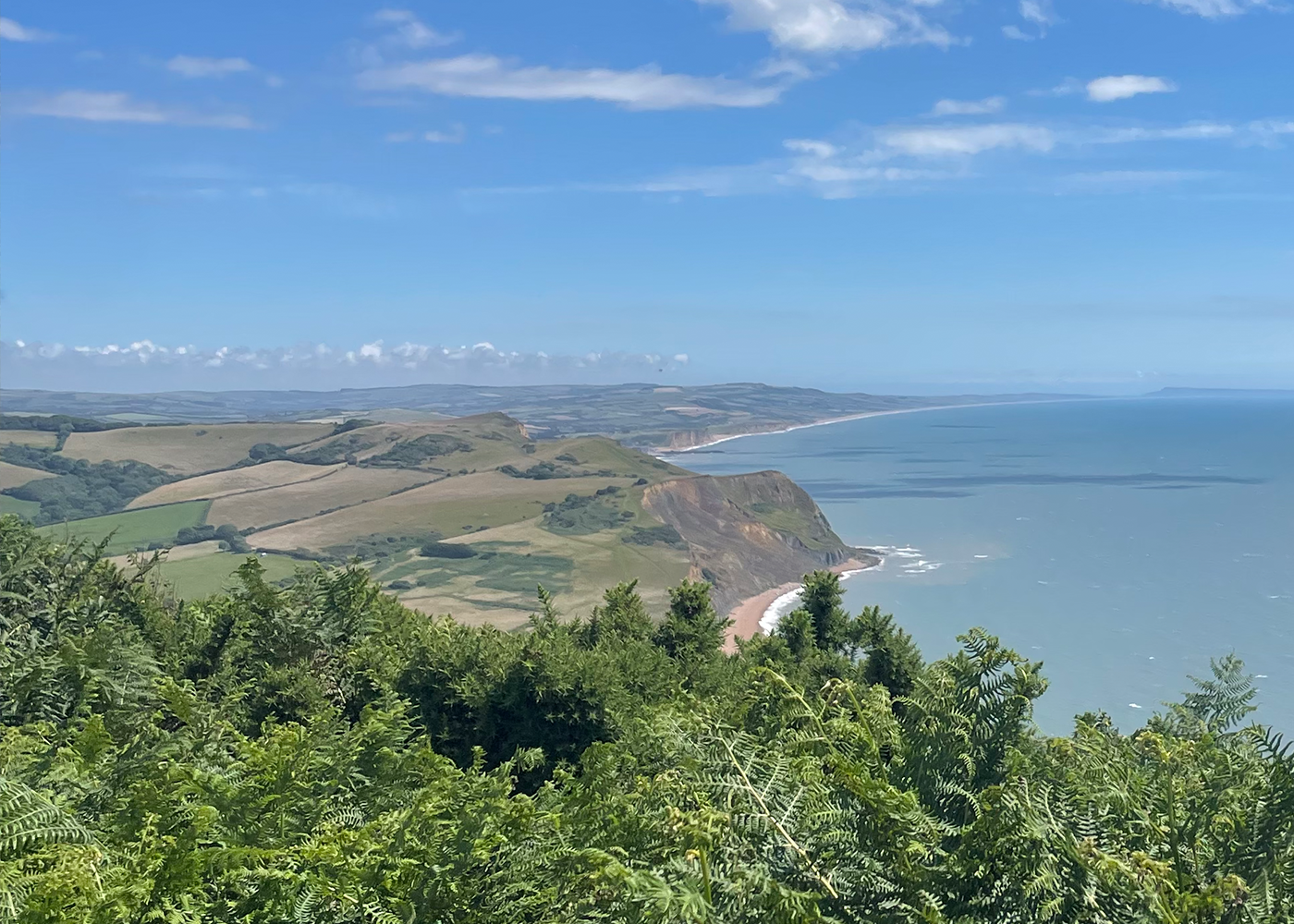 Golden Cap Looking East
