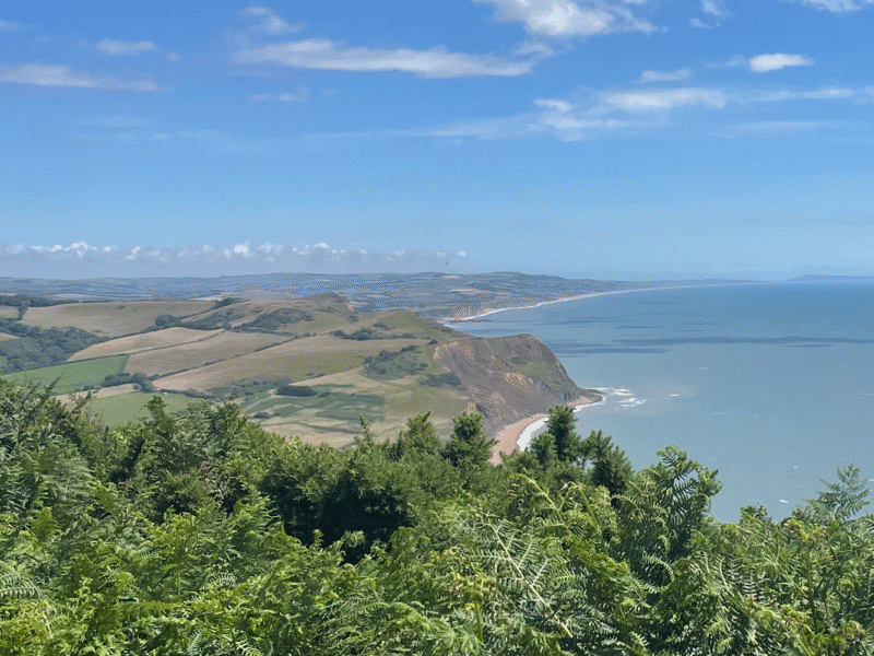 Golden Cap Looking East