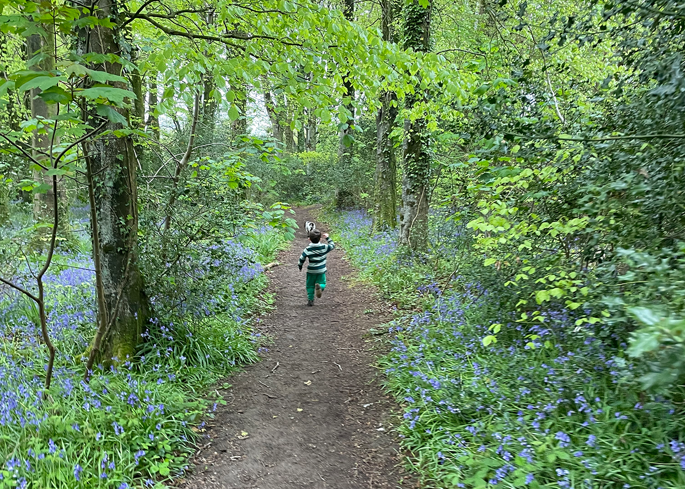 Local Area Tytherleigh Arms