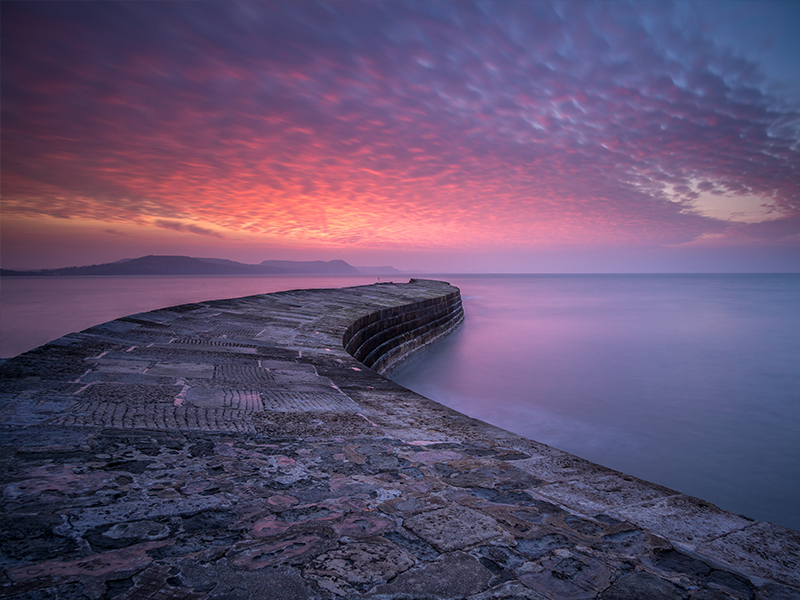 Lyme regis
